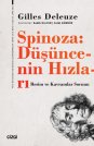 Spinoza: Düşüncenin Hızları | Resim ve Kavramlar Sorunu